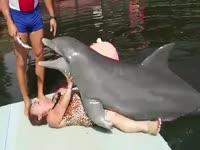 Rare video - Dolphin humping woman